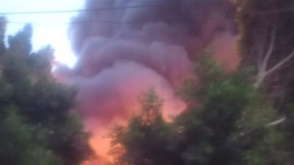 جانب من الحريق