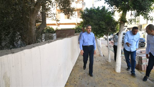 محافظ الغربية