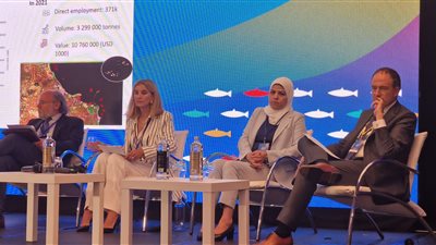 مصر تعرض تجربتها في حماية الصيادين أمام مؤتمر رفيع المستوى للفاو