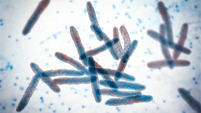 قرحة بورولي مرض يأكل اللحم والعظام.. تعرف على أعراضه ومخاطر الإصابة به