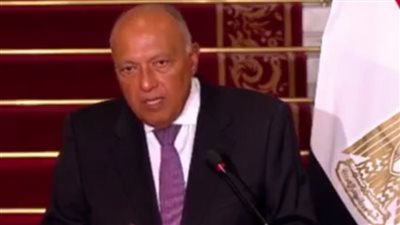 وزير الخارجية يؤكد ضرورة توفير الحماية للشعب الفلسطيني واحتواء الأزمة | بث مباشر