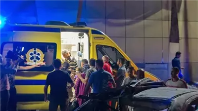 نهشتها الكلاب الضالة.. العثور على جثة رضيع داخل مقلب قمامة بالهرم