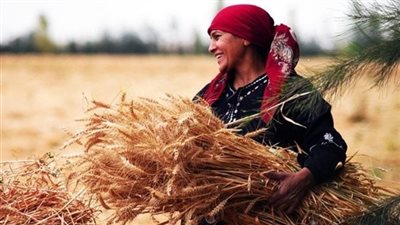 إيمانًا بدورها للنظام الغذائي.. الأمم المتحدة تحتفل بـ اليوم العالمي للمرأة الريفية 