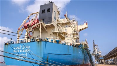 ميناء دمياط يستقبل حوالي 60 ألف طن قمح من روسيا لصالح هيئة السلع التموينية