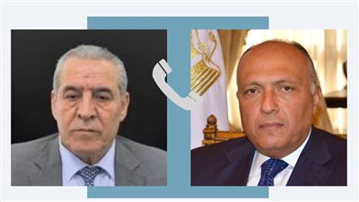 وزير الخارجية يؤكد مواصلة مصر بذل كل الجهود لوضع حد للتصعيد الجاري وحقن دماء الأبرياء