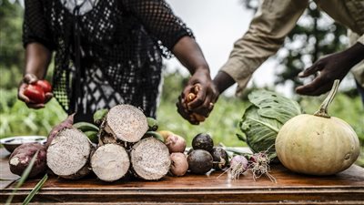 الأمم المتحدة تحيي يوم الأغذية العالمي تحت شعار المياه هي الغذاء