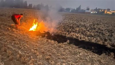 حفاظًا على صحة الأسر.. مجلس مدينة دمنهور بالبحيرة يحذر من حرق قش الأرز