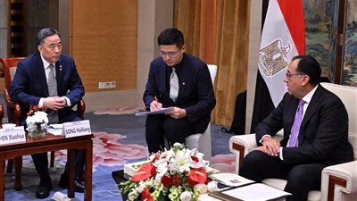 700 مليون دولار استثمارات.. رئيس الوزراء يرحب بمشروع شركة تشاينا إنرجي فى مطار القاهرة الدولي