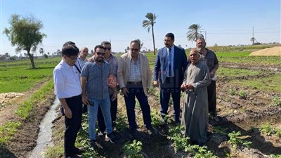 زراعة المنيا: بدء مشروع تحسين الزراعة الموجهة للسوق لصغار المزارعين بالتعاون مع الجايكا اليابانية