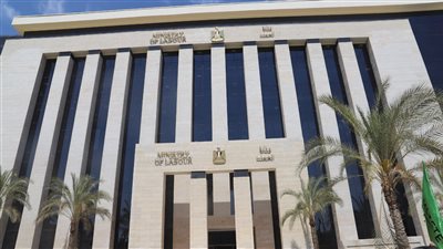 ما المهن التي يحتاجها سوق العمل الرقمي في مصر؟.. وزارة العمل توضح