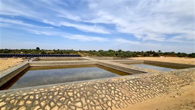 وزير الري: حفر قناة مفتوحة بطول 33.70 كيلومتر وغلق آبار جوفية تسحب المياه بشكل جائر في واحة سيوة 