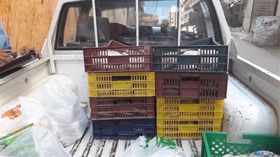 ضبط 117 كيلو جرام لحوم ودواجن مجمدة فاسدة في قنا