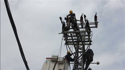 سرقوا نصف طن أسلاك.. ضبط عصابة سرقة أعمدة الكهرباء بالمنيا