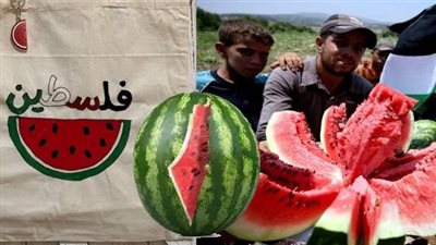 حَمار ونِضال.. البطيخ من موائد الفلسطينيين إلى رمز الصمود وتحدي خوارزميات مارك