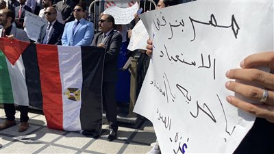 لليوم الثاني.. وقفة على سلالم محكمة الإسكندرية تضامنًا مع الشعب الفلسطيني 