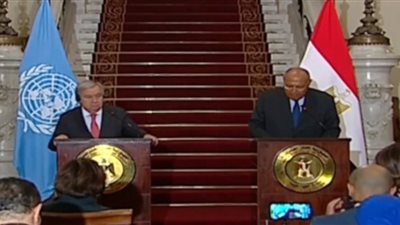 وزير الخارجية: لا بديل للأزمة الجارية سوى عودة الأطراف لطاولة الحوار وحل الدولتين وفقا لـ 67