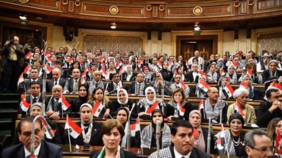 زراعة النواب تبحث تحويل مجرى السيول بعيدًا عن محافظة مطروح تجنبًا لغرق الأراضي 