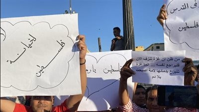 شعارات دعما لفلسطين ضد سياسات دولة الكيان في تظاهرات الأقصر | صور