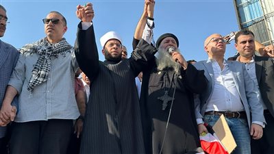 أسامة الأزهري بعد مظاهرات دعم فلسطين: الشعب المصري صفا واحدا خلف قيادته السياسية