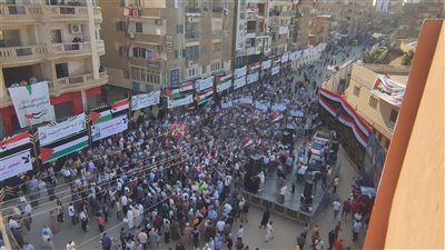 الهتافات تهز شبين الكوم.. الآلاف يتجمعون بالمنوفية تضامنًا مع أهالي غزة | صور