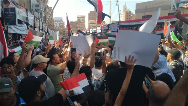 المئات بالمنوفية