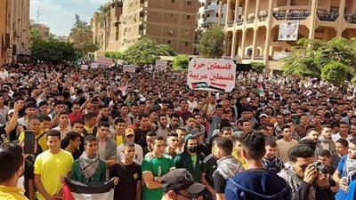 دمي فلسطيني.. طلاب جامعة بنها ينظمون وقفة احتجاجية لدعم أهالي غزة | صور 