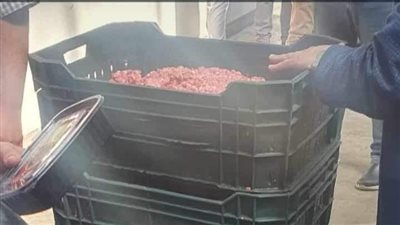 بيطري المنيا: ذبح 1664 رأس ماشية بالمجازر.. وضبط 703 كجم لحوم ودواجن فاسدة