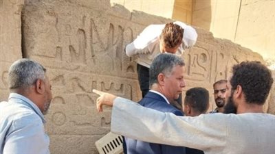 قرد بمعبد الكرنك.. والطب البيطري بالأقصر يتحفظ عليه لتسليمه لحديقة الحيوان