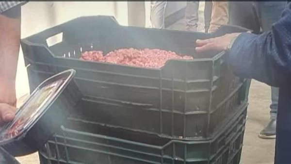 حملات تفتيشية بالمنيا