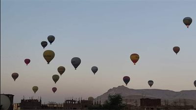 1430 سائحا على متن 50 رحلة بالون طائر بسماء الأقصر صباح اليوم