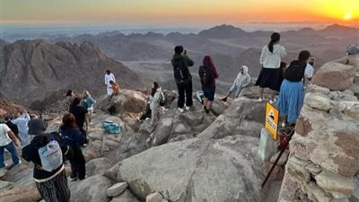 سانت كاترين تستقبل 214 سائحًا اليوم لزيارة ملتقى الأديان