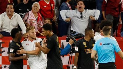 لا يوجد من يعلمك.. فينيسيوس يعلق على واقعة العنصرية أمام إشبيلية