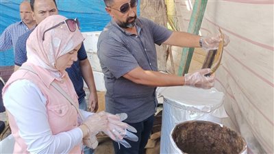 حملة تموينية تحرر 6 محاضر لمحال تجارية في كفر الشيخ