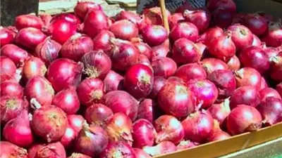 شعبة الخضار: مش هنقدر نكذب.. سعر البصل وصل لـ 45 جنيهًا