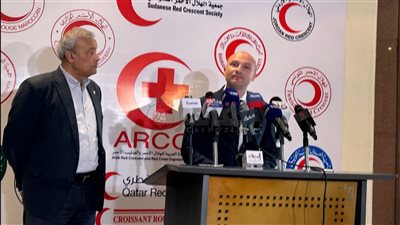 الهلال الأحمر المصري: أدخلنا 300 طن من المساعدات العاجلة للشعب الفلسطيني حتى الآن