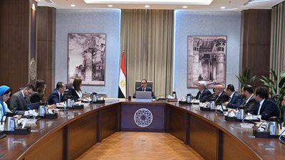 مدبولي يستعرض آليات الشراكة بين التعليم العالي والقطاع الخاص بالتعاون مع صندوق مصر السيادي 