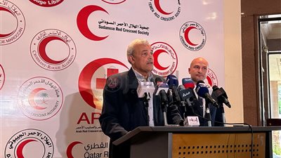 الهلال الأحمر الفلسطيني: 20 ألف جريح في غزة.. ومصر مستعدة لاستقبالهم