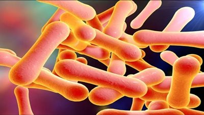 بعد وفاة 3 أطفال بالهند.. تعرف على أعراض الإصابة بالدفتيريا 