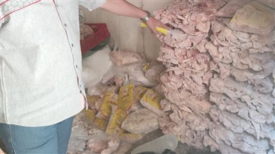 ضبط 41 طن لحوم ومصنعات هياكل دواجن غير صالحة للاستهلاك الآدمي بالجيزة