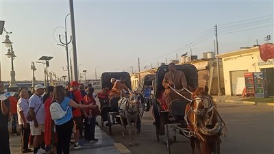 اليوم إقبال كبير من السياح على محافظة أسوان