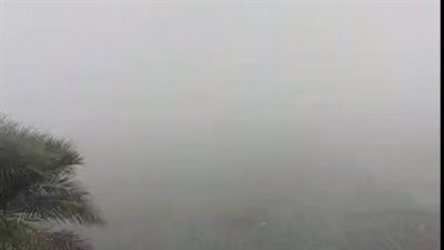 حالة الطقس في مصر.. شبورة كثيفة تصل لحد الضباب وأمطار على هذه المناطق