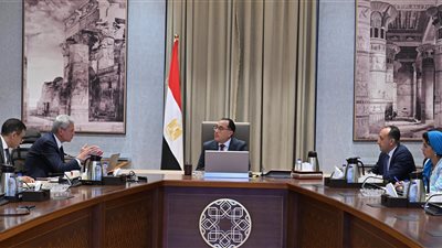 الحكومة: توريد مستحضرات دوائية إلى زامبيا بإجمالي 24 مليون دولار.. وشحن أول دفعة