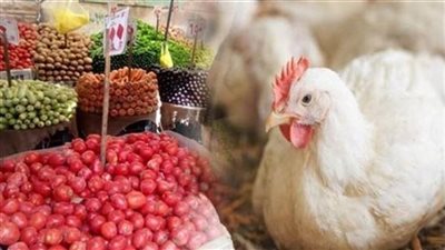 الطماطم بـ12 والفراخ بـ 75 جنيها.. انخفاض طفيف بأسعار الدواجن واستقرار الخضروات اليوم بالأسواق| بث مباشر 