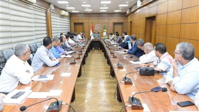 محافظ الدقهلية يتابع المراحل النهائية لمشروعات حياة كريمة 