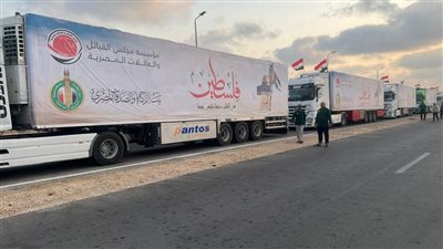 الأزهر: وصول 18 شاحنة محملة بالأدوية والمواد الغذائية لميناء رفح البري لدعم الأشقاء بغزة