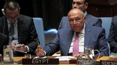 وزير الخارجية: عدم إدانة ما يجري في غزة يعد مشاركة في الانتهاكات هناك