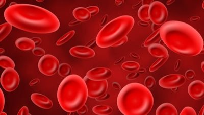 5 نصائح فعالة للتغلب على نقص الحديد