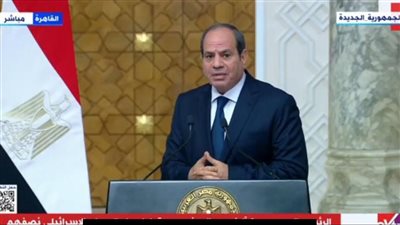 السيسي: المساعي المصرية مستمرة لوقف إطلاق النار في غزة ونعمل على تلبية احتياجاتهم