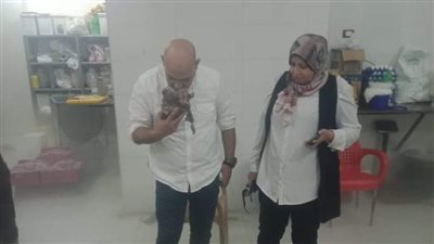 ضبط 240 كجم دواجن غير صالحة للاستهلاك الآدمي بالمنوفية 