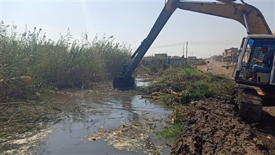 محافظ بورسعيد: جار تحويل 33 ألف فدان مزارع سمكية مخالفة لـ أراضٍ زراعية منتجة